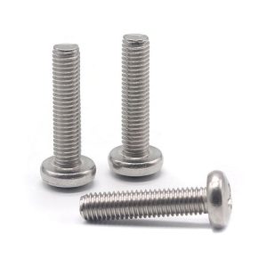 Cross Recessed Raised Cheese Head Screw (3)